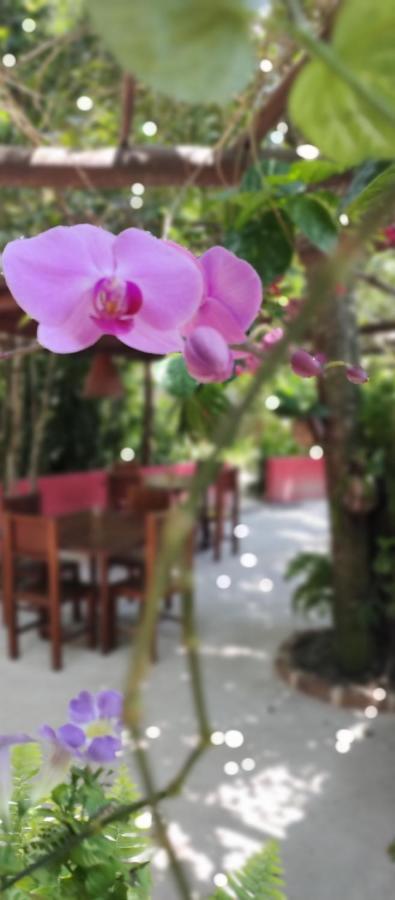 Vila Araticum Praia ซานโต อังเดร ภายนอก รูปภาพ