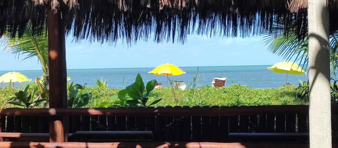 Vila Araticum Praia ซานโต อังเดร ภายนอก รูปภาพ