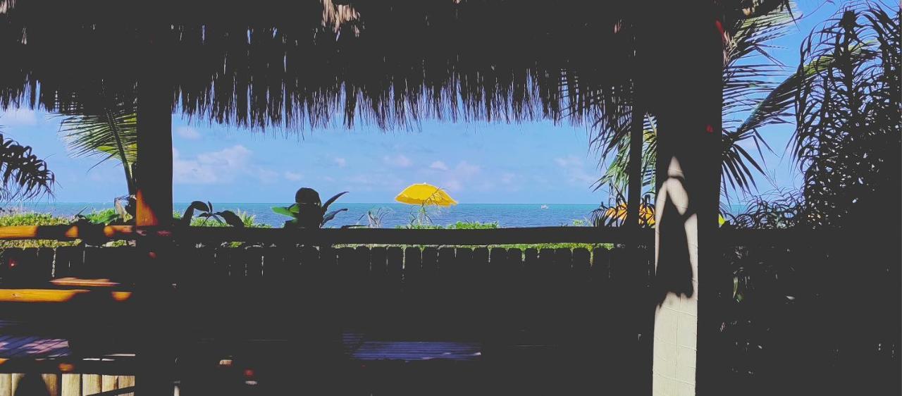 Vila Araticum Praia ซานโต อังเดร ภายนอก รูปภาพ